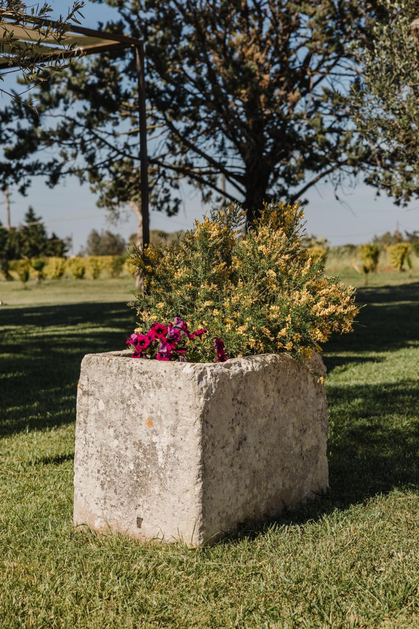 Bed and Breakfast Gli Ulivi Di Gino Sanarica Exterior foto
